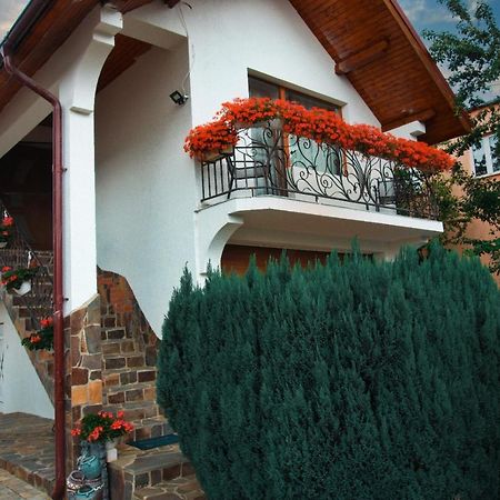 Villa Casa Ade Ocna Şugatag Exterior foto